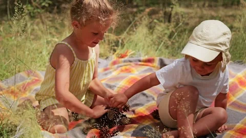 Two children sit on a blanket in a forest. They play with pine cones under the Stock Footage 340960305