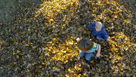 Two children sit down together in a huge pile of leaves Video stock 93891484