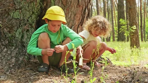 Two children sit together near a tree in a forest. One child examines a small Stock Footage 338445295