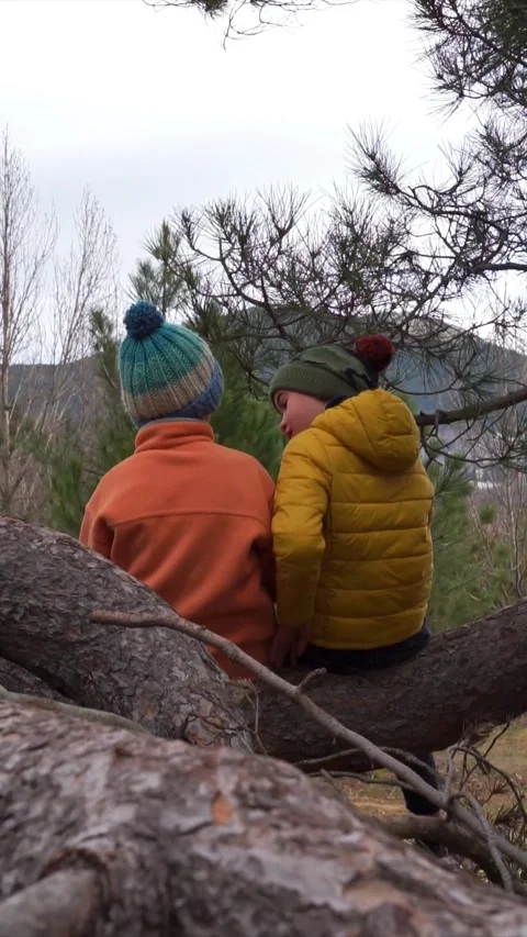 Two children sitting on a tree branch together in nature wearing winter cloth Stock Footage 261580381