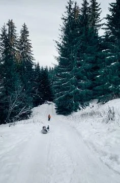 Two children sledding down a mountain, Bulgaria Stock Photos