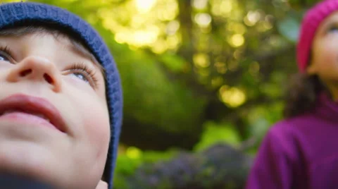 Two children stand in a forest and gaze upward at the trees Stock-Footage 33893014