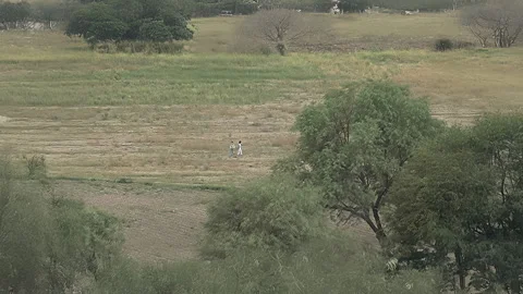 Two Children Walking Across Open Countryside Stock Footage 331027063