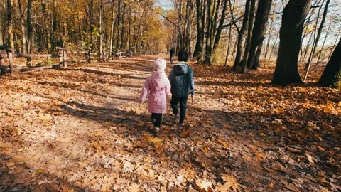 Two children walking in the forest park and enjoying the beautiful autumn nature Video stock 131066631