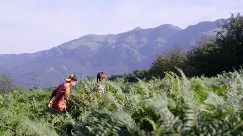 Two children walking in nature Vídeo Stock 250083418