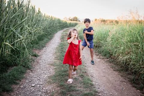Two children walking on the road in a corn field Stock Photos