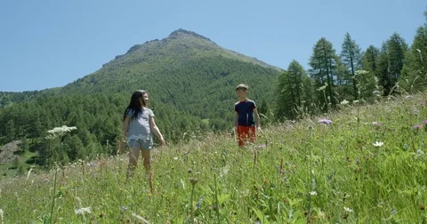 Two children walking through a summer flower meadow smiling. Vídeo Stock 78027041