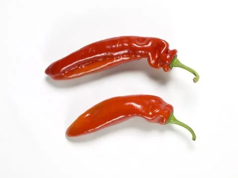 Two chilis Stock Photos