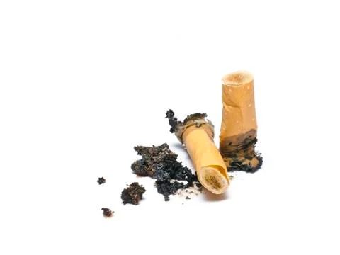 Two cigarette butts on the white background. Foto stock