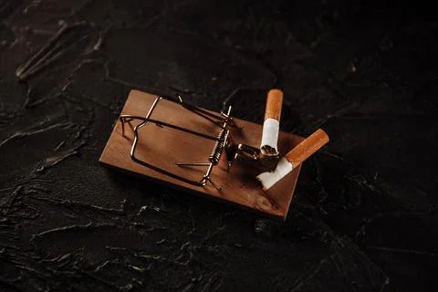 Two cigarettes on a mouse trap. Dangerous habbit concept Stock Photos