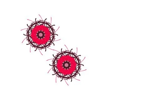 Two circular flowers arranged in a composition on white background Stock Illustration