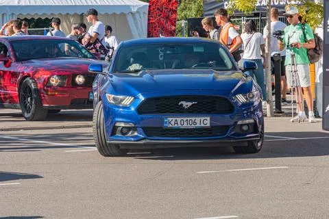 Two classic Ford Mustangs, one red convertible and one dark blue fastback, at Stock Photos
