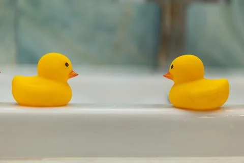 Two Classic Yellow Rubber Ducks Beautifully Floating Together in Calm and C.. Stock Photos