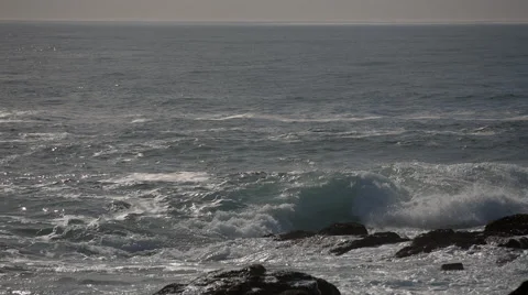 Two clip combo of school of Dolphins swimming in the ocean 動画素材 52376325