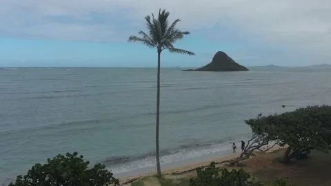 Two Clips Of Drone Flying Chinaman's Hat Island In Oahu, Hawaii Stock Footage 154169633