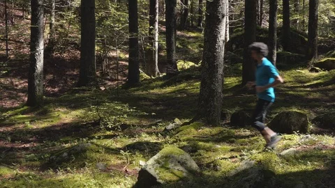 Two clips of running man in the forest path Video stock 114174120