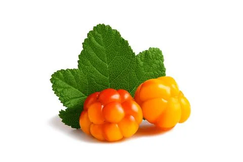 Two cloudberries with a leaf isolated on a white background with clipping pat Stock Photos