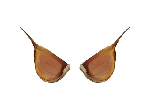 Two cloves of garlic in mirror reflection isolated on white background Stock Photos
