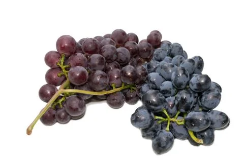 Two clusters of grapes, dark and pink. Stock Photos