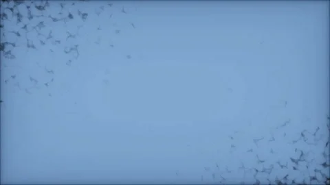 Two clusters of information in different parts of the screen.Fly through Stock Footage 97509999