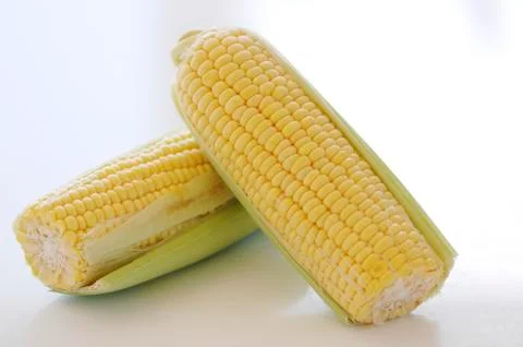 Two cobs of corn Stock Photos