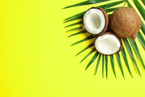 Two coconut one of which split with palm branch on color background Foto stock