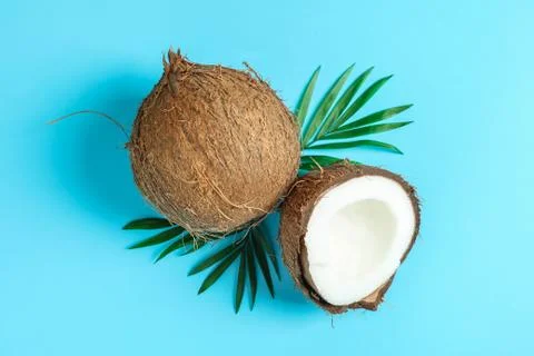 Two coconut one of which split with palm branch on color background Stock Photos