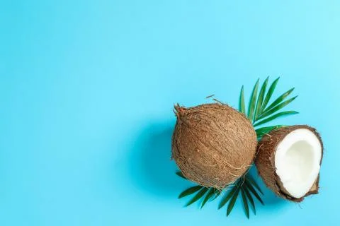 Two coconut one of which split with palm branch on color background Stock Photos