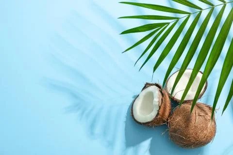 Two coconut one of which split with palm branch on color background Stock Photos