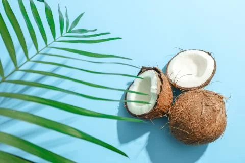 Two coconut one of which split with palm branch on color background Stockfoto's