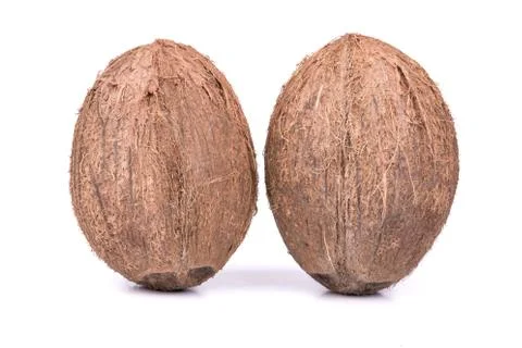 Two coconut Stock Photos