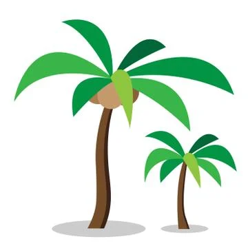 Two coconut trees with coconut Stock Illustration