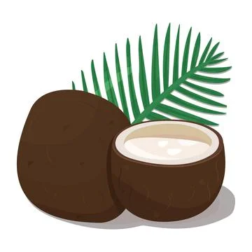 Two coconuts with a big palm leaf Stock Illustration