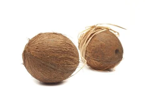 Two coconuts with bow Stock Photos