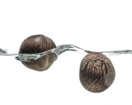Two coconuts floating on the surface of undulating water Stock Photos