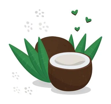 Two coconuts with leaves and hearts Stock Illustration
