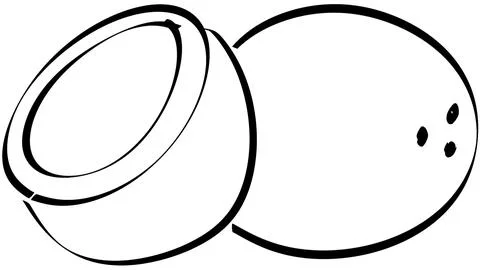 Two Coconuts Minimal Line Art Illustration On White Background Stock Illustration