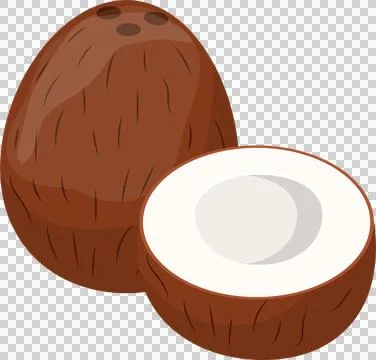 Two coconuts, one whole, one halved, showcasing brown shell and white flesh.. Stock Illustration