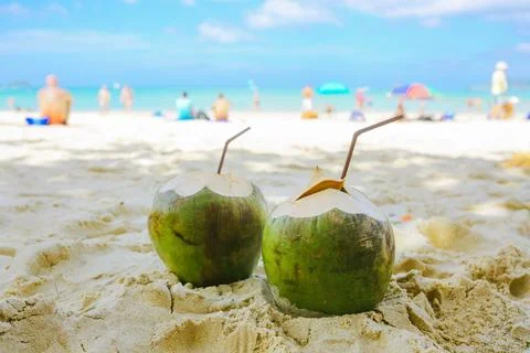 Two coconuts with straws lie on the beach on the background of the beach wi.. Stock Photos