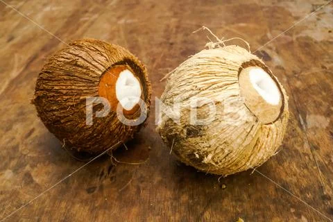 Two coconuts on table Stock Photos