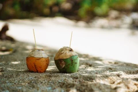 Two coconuts with tubes on the beach under the sun Stock Photos