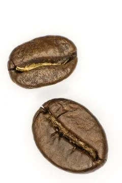 Two coffee beans Photos