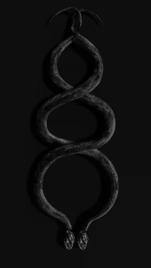 Two Coiled Black Snakes on Black Background 库存影片 336153919