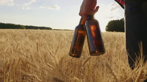 Two cold beer bottles on a hot day. The man carries a barley field against the Stock Footage 77421603