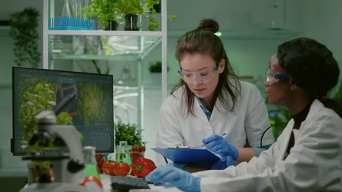 Two collegues checking sample of vegan meat writing biotechnology expertise Stock Footage 152076161