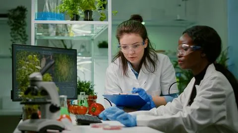 Two collegues checking sample of vegan meat writing biotechnology expertise Stockfoto's