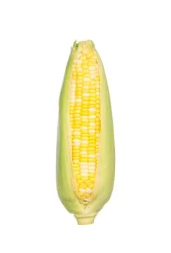 Two color corn isolated on white Stock Photos
