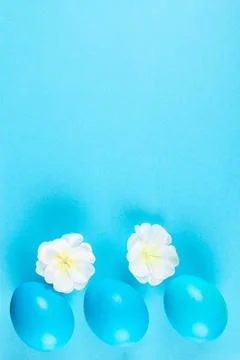 Two color easter egg background Stock Photos