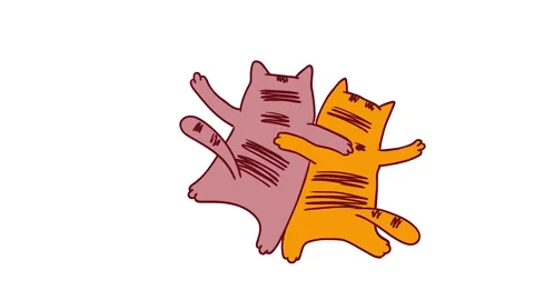 Two colored cats 4K Video stock 220152334