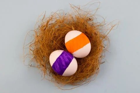 Two colored eggs on a blue background in a copyspace nest for text. Stock Photos